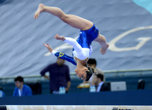 Bakıda idman gimnastikası üzrə Dünya Kuboku yarışlarının ikinci günü start götürüb. Azərbaycan, 20 fevral, 2016